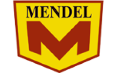 Schildersbedrijf Mendel V.O.F., een schilder werkzaam in Oldebroek